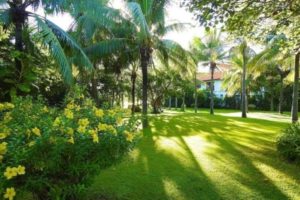 Khu vườn ngập tràn cây xanh - khách sạn Furama Resort Đà Nẵng